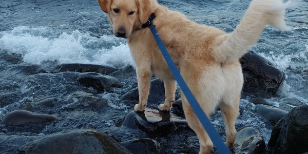 MN Adult and Teen Challenge