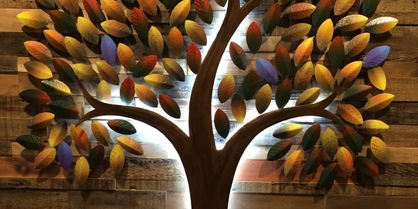 Life Development Resources